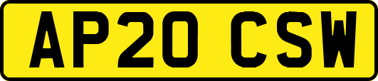 AP20CSW