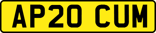 AP20CUM