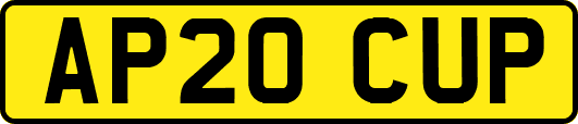 AP20CUP