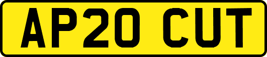 AP20CUT