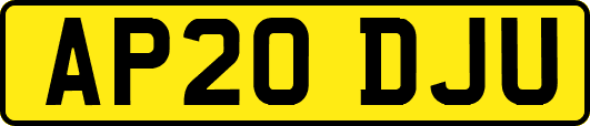 AP20DJU