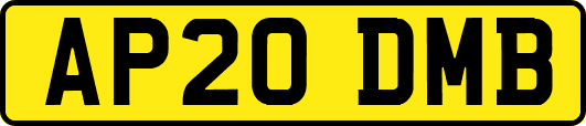 AP20DMB