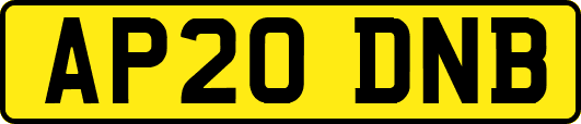 AP20DNB