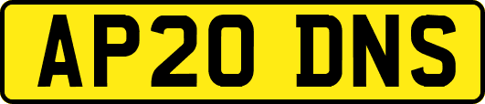 AP20DNS