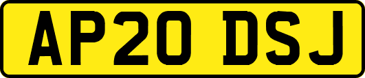 AP20DSJ