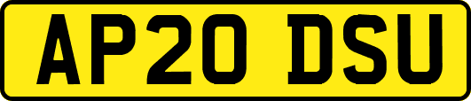 AP20DSU