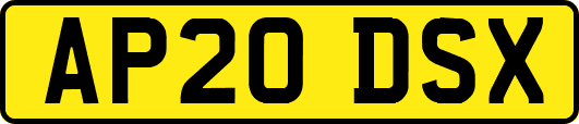 AP20DSX