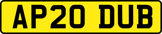 AP20DUB