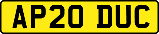 AP20DUC