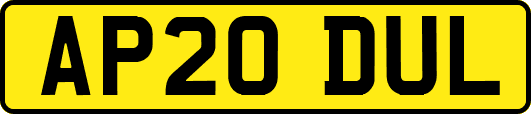 AP20DUL