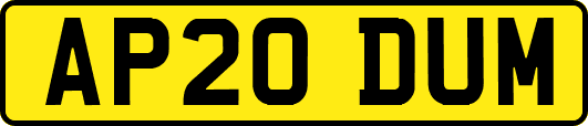 AP20DUM