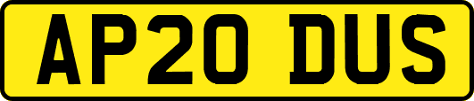 AP20DUS