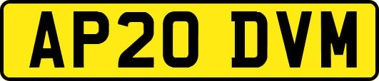 AP20DVM