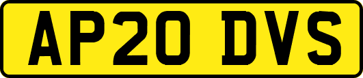 AP20DVS