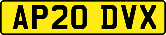 AP20DVX