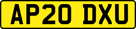 AP20DXU