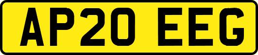 AP20EEG