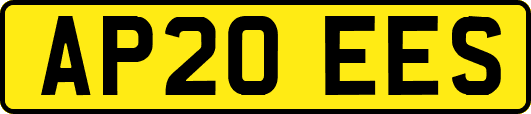 AP20EES