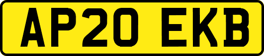 AP20EKB