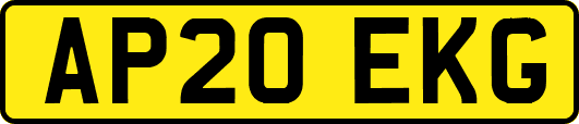 AP20EKG