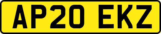 AP20EKZ