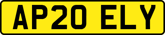 AP20ELY