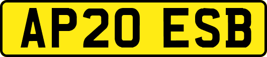 AP20ESB