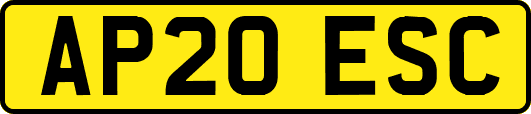 AP20ESC