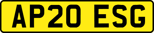 AP20ESG