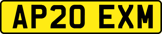 AP20EXM
