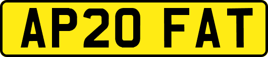 AP20FAT