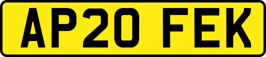 AP20FEK