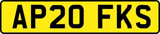 AP20FKS