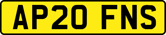 AP20FNS