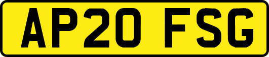 AP20FSG