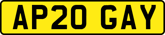 AP20GAY