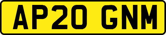 AP20GNM