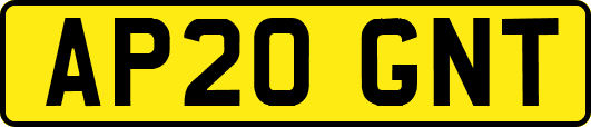 AP20GNT