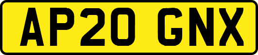 AP20GNX