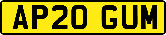 AP20GUM