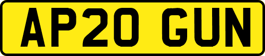 AP20GUN