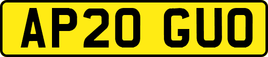 AP20GUO