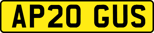 AP20GUS