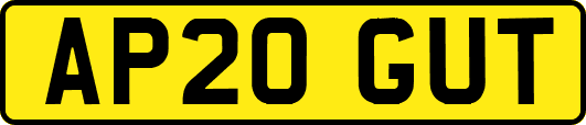 AP20GUT