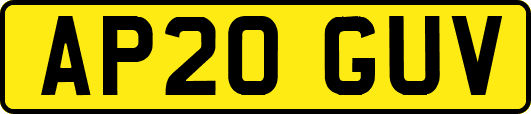 AP20GUV