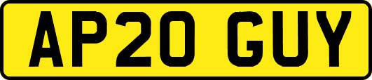 AP20GUY