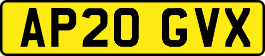 AP20GVX