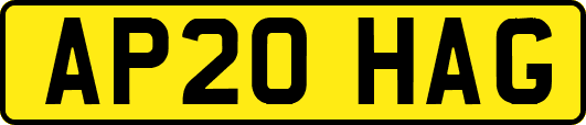 AP20HAG