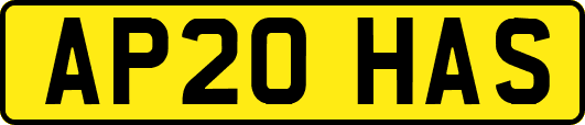AP20HAS