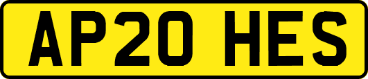 AP20HES